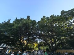 -桂林独秀峰王城景区