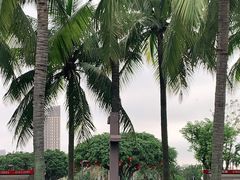 -万绿园