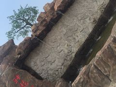 -神龙仙岛景区