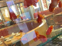 -釜山火炉韩式炭火烤肉(欧洲城店)