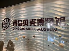 -青岛贝壳博物馆