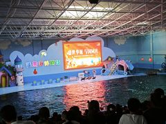 -蓬莱欧乐堡海洋极地世界