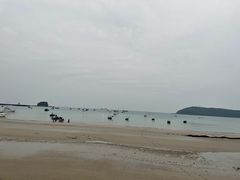 -贝壳沙滩
