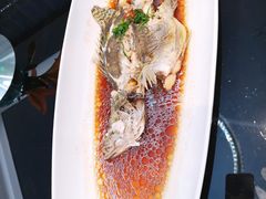 清蒸桂鱼-常州柒星汇餐饮会所(创新科技楼店)