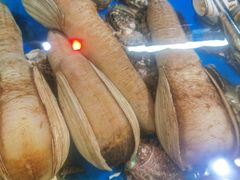 -岳各庄批发市场(西四环中路店)