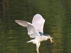 -重庆彩云湖湿地公园