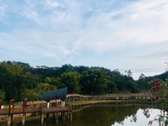 -神光山国家森林公园