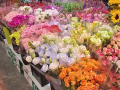 -大自然花鸟鱼虫市场