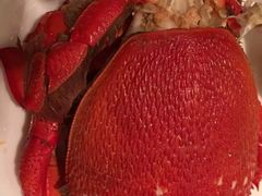 -万达文华酒店·48F云端窗景美食汇自助餐厅