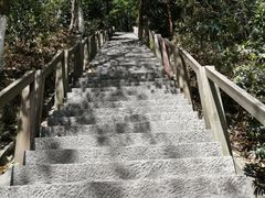 -云碧峰国家森林公园