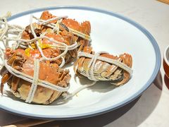 -杨氏青龙虾·羊蝎子(托乐嘉店)