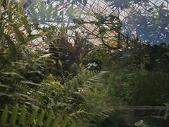 -墨尔本皇家植物园