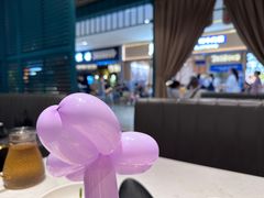 -岭南站NOVA