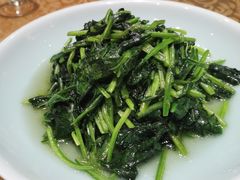 菠菜-桐庐海博大酒店中餐厅