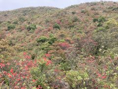 -广东天露山旅游度假区