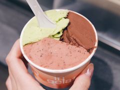 -Dip in Gelato(富民路店)