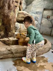 点击看大图 -Zoolung Zoolung动物主题公园(海信广场店)