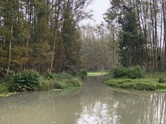 -桤木河湿地公园