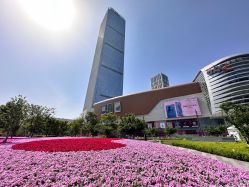 -乐高授权专卖店(济南万象城店)