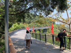 -金鸡山公园