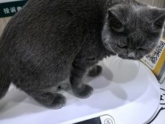 -佑安动物医院·全科·内窥镜中心(幸福巷店)