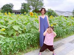 -田园东方蜜桃村的田野营地