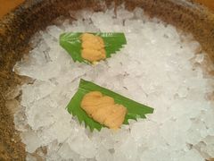 -月龍吟(朝龙汇店)