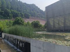 -中国宣纸文化园