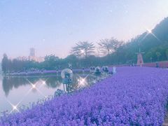 -顺峰山公园
