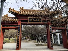 -桃花堤公园