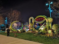 -运河游船(武林门码头)