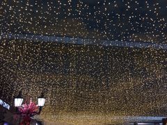 -稻香酒家·34年老字号·港式粤菜(汉街店)