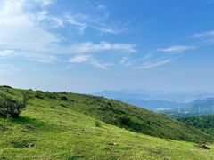 -大姆山草场