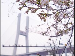 -上海南浦大桥长途旅游客运站