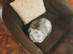 -隅cafe(傅厚岗店)