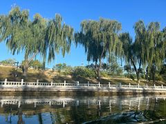 -皇家御河游(紫御湾码头)