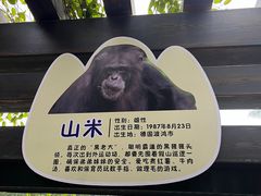 -南宁市动物园
