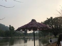 -南沙蒲洲花园