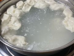 -田记自助海鲜饺子