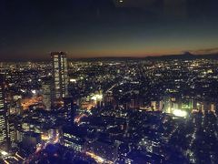 -东京都厅舍