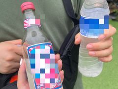 -合肥滨湖国家森林公园