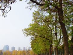 -辽宁大学(崇山校区)