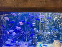 -华夏文旅海洋公园