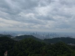 -南山植物园