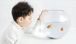 -芭迪高端儿童摄影(精选店)