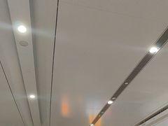 -麦当劳(北京大兴机场二层国内到达(安检外)店)