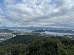-黄贤森林公园