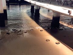 -演武大桥观景平台