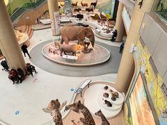 -陕西自然博物馆