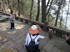 -重庆雨台山风景区